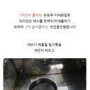 수원-0193 이미지