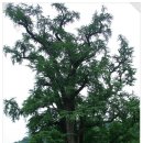 민갈비앤쌈밥 이미지