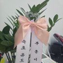 용인대 인왕 유도체육관 | 속초유도 속초체육관 용인대부흥유도체육관 학부모입장에서 본 생생후기!