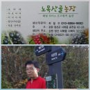 초고산지 생오미자 가격인하 판매 올려봅니다. 이미지