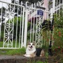 동구네집 이미지