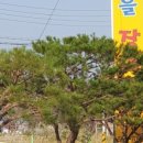 고창풍천장어마을 이미지