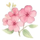 사이공스퀘어 세종점 네이버블로그