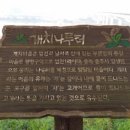 부론중학교 이미지