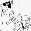 나는강아지 이미지