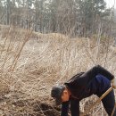 행자농장 이미지