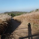 장산토성 이미지