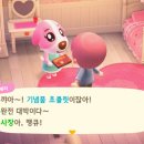 베리네상점 이미지