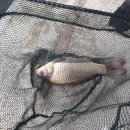 매송낚시터 이미지