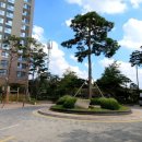 요진 세탁소 이미지