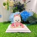 디어 마이 독 | 평택 강아지케이크 디어마이독 강아지셀프생일
