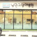 낭만고양이병원 이미지