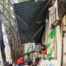 포비엔 (Pho Bien) 이미지