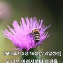 디모데
