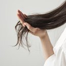털보헤어플러스의원 네이버블로그