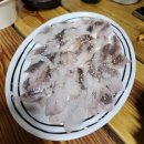 낚시펜션 ] 우럭 양식장 1박2일 내돈내산 후기 / 오형제낚시 채비 대여 / 태안 구매항 낚시체험 가볼만한곳