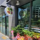에코김밥천국