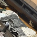 GYM LAB | 네덜네덜한 네덜란드 이야기