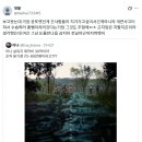 강심장 공포영화 살목지 후기: 기대와 다른 반전? 4DX 체험까지!