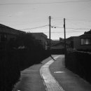 일과1리 이미지