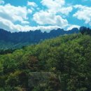 58년감자탕막국수 이미지