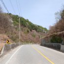 유희원 효자문 이미지