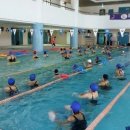 강진군스포츠센터 이미지