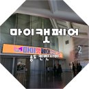 마이캣 | 마이캣페어 송도 컨벤시아 일요일 관람후기