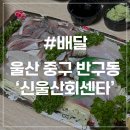 학성회센타 | [울산 배달] 신울산회센타 반구동 회 맛집 섞어회 모듬회 배달 후기