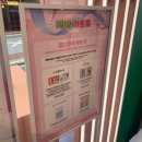 윤성타운 | [홍대] 올리오X위키드 in 올리브영 홍대타운 / 올리브영 헤바라운지 팝업스토어 방문후기