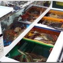 기장초장집 이미지