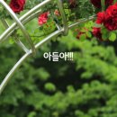 한빛은행 이미지