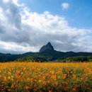 사양제 저수지2 이미지