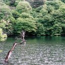 호수풍경 이미지