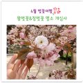 카페띠아모서천서도점