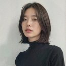 복스헤어
