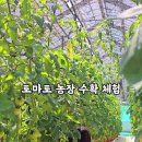 오건농장