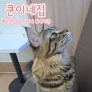 쿤이네집 이미지