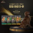 슈레드