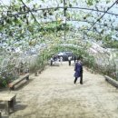 (주)장천