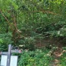 용현계곡입구 이미지