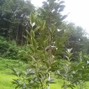 불당골2 이미지