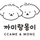 애견의품격 - 강서구 공항대로59길 8 | 애견의품격