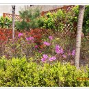 서경로꿈마루도서관 이미지