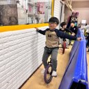 라이온 합기도 이미지