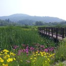 공설운동장길(공설운동장) 이미지