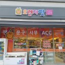 오렌지팟 이미지