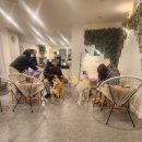 카페하임 - 하남시 하남대로802번길 15 | 카페하임