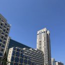 보배동물약국 | [강원도] 숙소/펫라운지/노래방/볼링 올인클루시브 패키지 “휘닉스파크 평창”