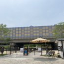 금곡동반려견놀이터 이미지